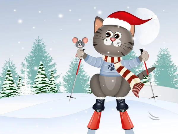 Illustration Skier Cat Winter — Foto de Stock
