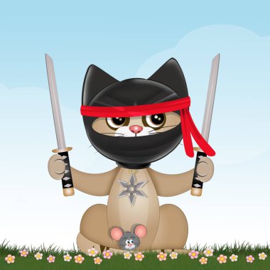 Katane 'li ninja kedi resmi