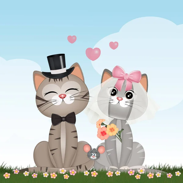 Illustration Newlywed Kittens — Stock Photo, Image
