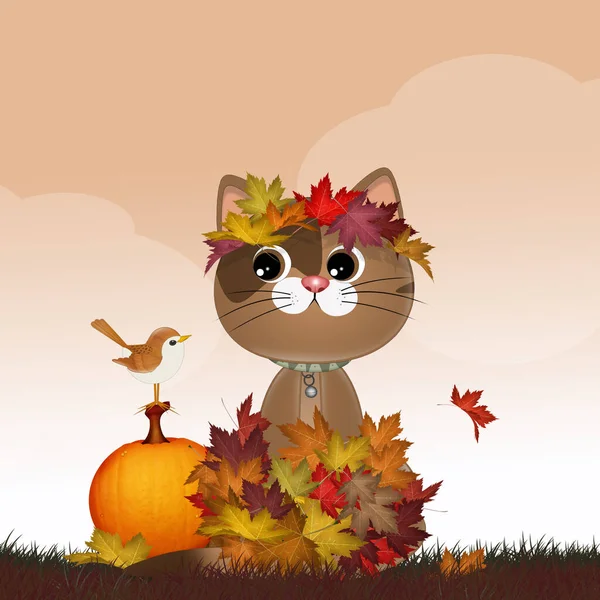 Ilustração Gato Outono — Fotografia de Stock