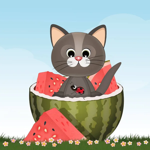 Abbildung Der Katze Der Wassermelone — Stockfoto