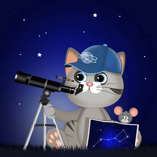 Teleskoplu Kedi Çizimi — Stok fotoğraf