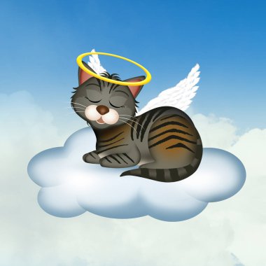 Kedi yavrusunun resmi cennette.