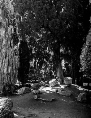 ancient ruins of the city of the capital of Kos