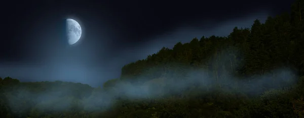 Moon at night, starless sky. Fog over mountain woodland