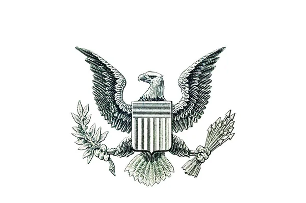 Kale Adelaar Afbeeldingselement Van Een Dollarbiljet Great Seal Van Verenigde — Stockfoto