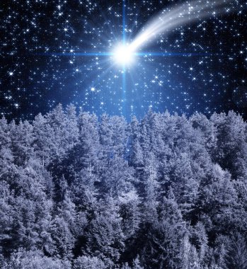 İsa 'nın Yıldızı. Koyu mavi gökyüzü ve parlak yıldızın arka planı. Noel gecesinde gece ormanı