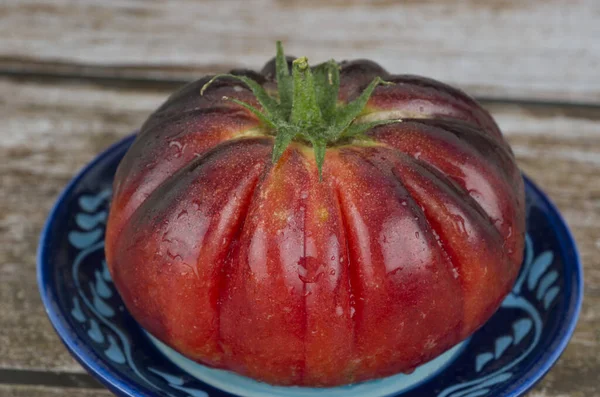 Färsk Mat Natur Ekologisk Mogen Röd Grönsak Tomat Jordbruk — Stockfoto