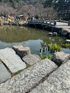 Parkın güzel manzarası