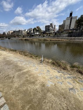 Barselona 'daki nehir manzarası