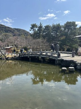 Parkın güzel manzarası