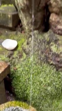 Fushimi Inari Tapınağı 'ndaki Fox Heykeli Su Fıskiyesi - Kyoto, Japonya