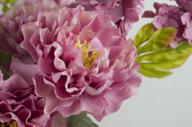 Bahçedeki güzel çiçekler