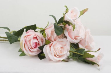 Beyaz arkaplanda beyaz gül çiçeği.