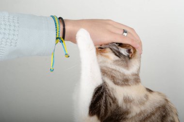 Elinde kedisi olan bir kız