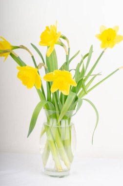 Beyaz arkaplanda vazoda güzel sarı çiçekler.