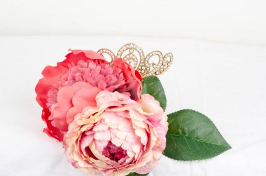 Açık renkli, tatlı güzel Şakayık çiçek