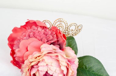 Beyaz arka planda güzel pembe bir şakayık