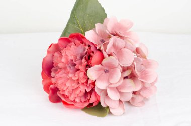 Beyaz arka planda vazodaki güzel çiçekler