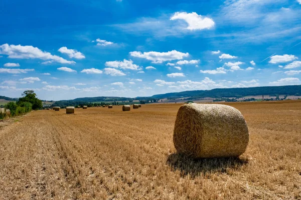 Rolls Haystacks Straw Field Harvesting Wheat Rural Field Bales Hay — Stok fotoğraf