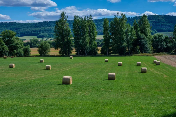 Rolls Haystacks Straw Field Harvesting Wheat Rural Field Bales Hay — Stok fotoğraf