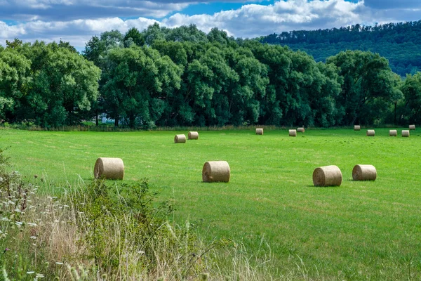 Rolls Haystacks Straw Field Harvesting Wheat Rural Field Bales Hay — Stock Photo, Image
