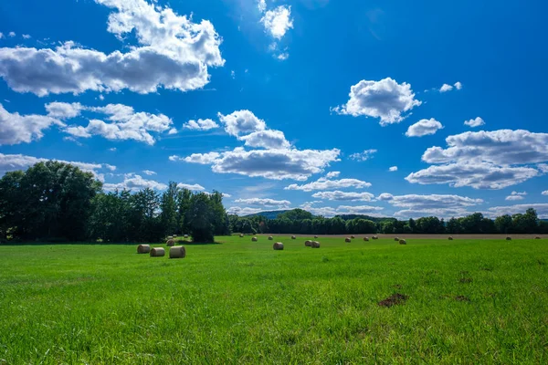 Rollt Heuhaufen Stroh Auf Dem Feld Und Erntet Weizen Ackerland — Stockfoto