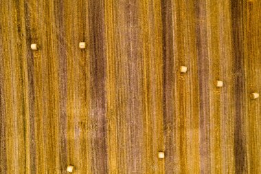 Hasat edilmiş tahıl tarlasında saman balyalarıyla insansız hava aracı uçuşu. Üst görünüm.