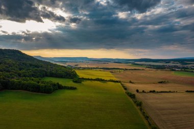 Altın tarlalar ve yeşil ormanlar üzerinde uçuyor. Almanya.