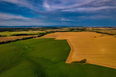 Altın tarlalar ve yeşil ormanlar üzerinde uçuyor. Almanya.