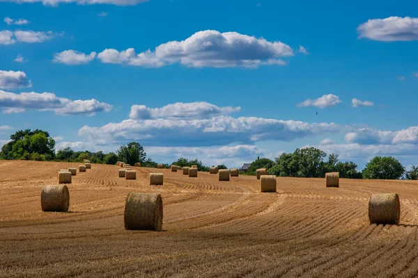 Rolls Haystacks Straw Field Harvesting Wheat Rural Field Bales Hay — 스톡 사진
