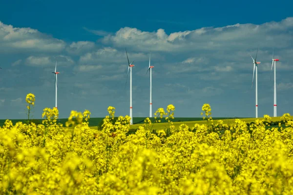 再生可能エネルギー発電の花の菜の花畑の真ん中に風力タービンは 環境を保護します ドイツ — ストック写真