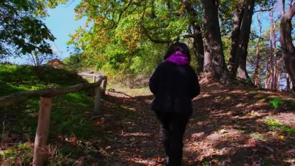 Vista Trasera Una Mujer Viaja Través Bosque Otoño — Vídeos de Stock