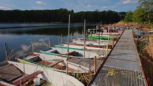 Petits Bateaux Pêche Ancrés Sur Rive Lac Port Pêche — Video