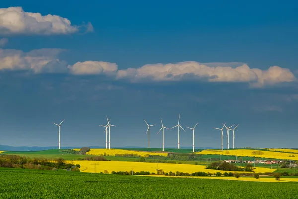 再生可能エネルギー発電の花の菜の花畑の真ん中に風力タービンは 環境を保護します ドイツ — ストック写真