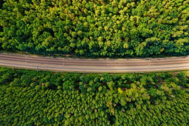 Railway through summer forest, aerial view.