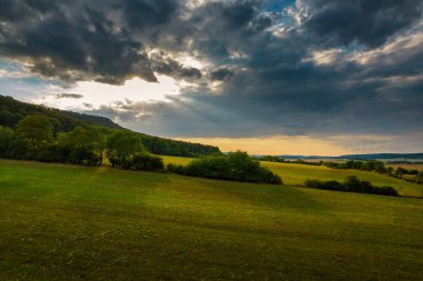 Altın tarlalar ve yeşil ormanlar üzerinde uçuyor. Almanya.