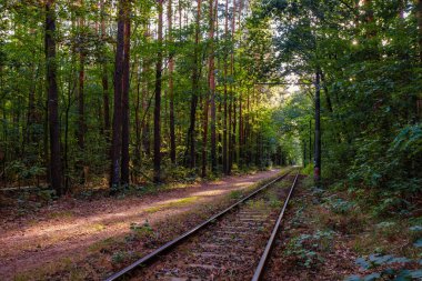 Railway tracks view. Railway rails and embankment surrounded by forest. Railroad