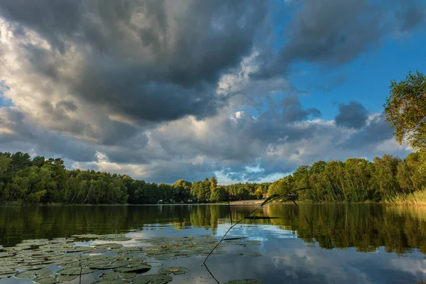 Přírodní Krajina Jezera Vysoké Rozlišení Pohyb Vln Pozadí Podzimního Lesa — Stock fotografie