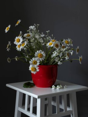 Papatya çayı. Kırsal natürmort.