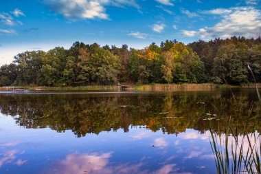 Gölün doğal manzarası, yüksek çözünürlüklü dalgaların sonbahar ormanının arka planına karşı hareketi. Bulutların su dalgaları üzerindeki yansıması. Almanya.