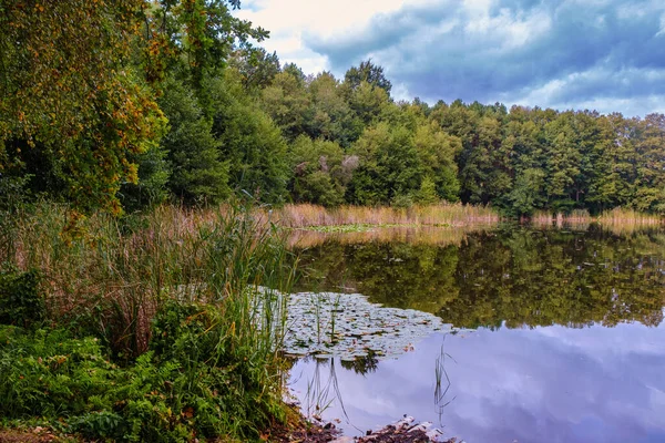 Přírodní Krajina Jezera Vysoké Rozlišení Pohyb Vln Pozadí Podzimního Lesa — Stock fotografie