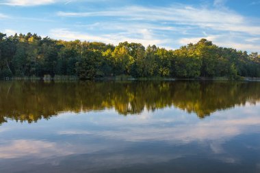 Gölün doğal manzarası, yüksek çözünürlüklü dalgaların sonbahar ormanının arka planına karşı hareketi. Bulutların su dalgaları üzerindeki yansıması. Almanya.