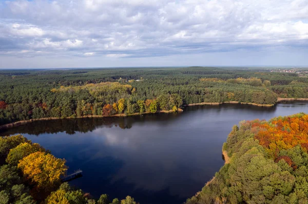 Повітряний Постріл Прекрасного Озера Оточеного Лісом Спокійний Осінній День Німеччина — стокове фото