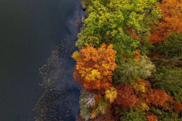 Aerial Shot Beautiful Lake Surrounded Forest Calm Autumn Day Germany — Stock Photo, Image