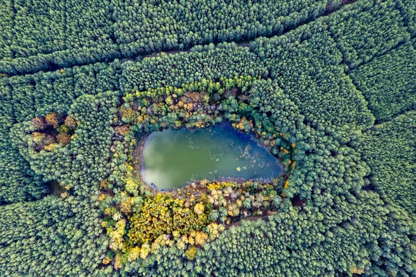 Zdjęcie Lotnicze Pięknego Jeziora Otoczonego Lasem Spokojny Jesienny Dzień Niemcy — Zdjęcie stockowe