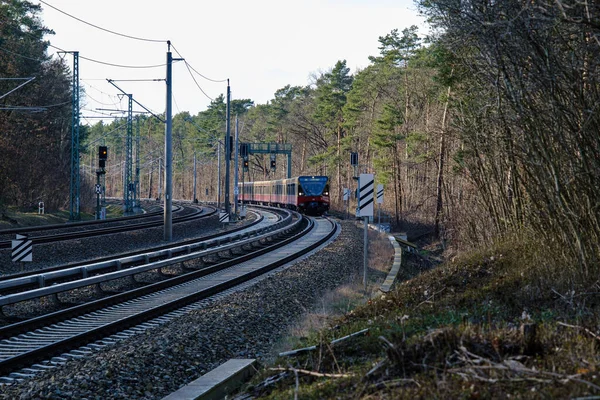 Zug Fährt Durch Den Wald Deutschland — Stockfoto