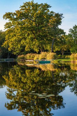 Gölün doğal manzarası, yüksek çözünürlüklü dalgaların sonbahar ormanının arka planına karşı hareketi. Bulutların su dalgaları üzerindeki yansıması. Almanya.