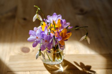 Vazoda bir buket mor krukus. Vazoda bahar çiçekleri.