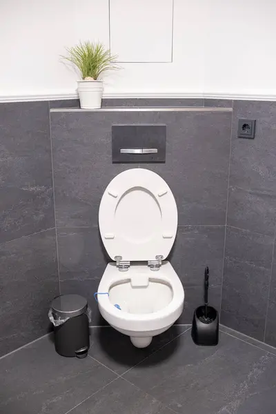 Білий Змивний Туалет Сучасному Інтер Єрі Ванної Ліцензійні Стокові Зображення